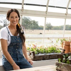 Pilcro The Painter Denim Overalls, size 29, rare! 🦄 Joanna Gaines